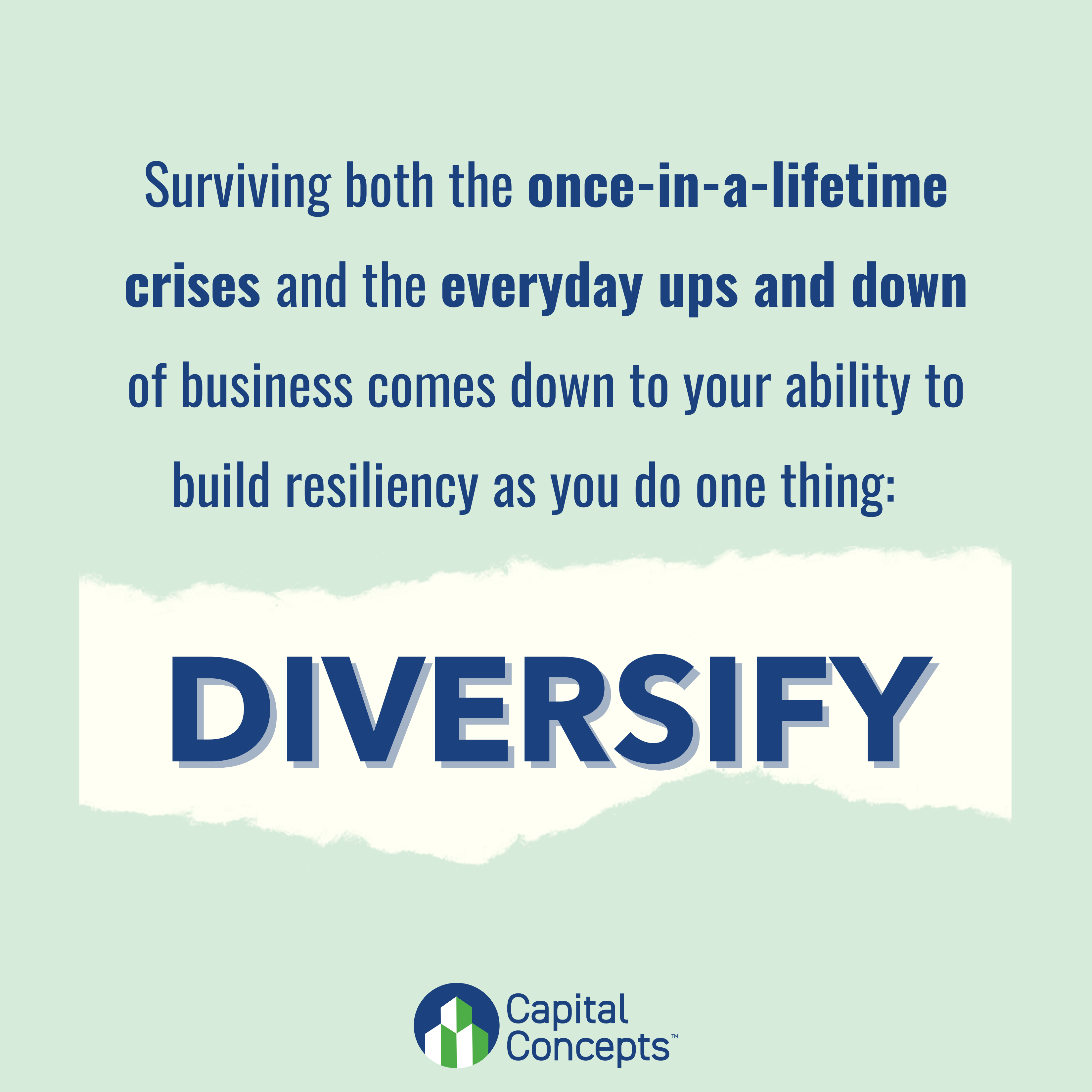 Graphic that states: One word sums up how to build a resilient business: diversify